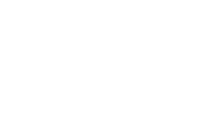 Velsis